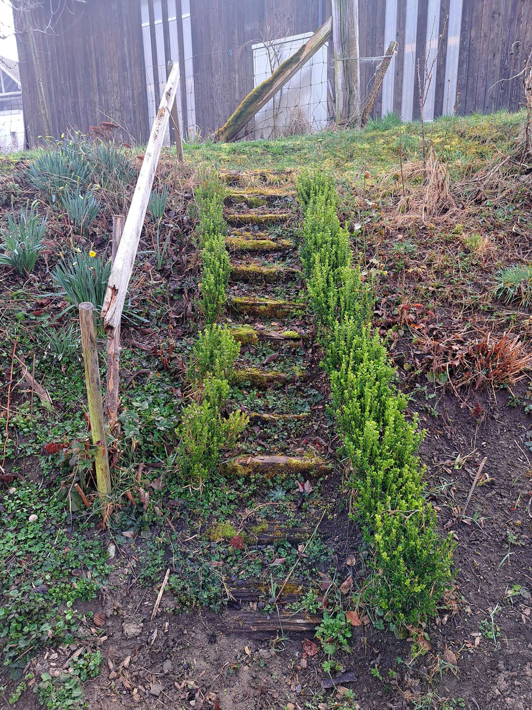 Garten Tremme Gelaender vorher