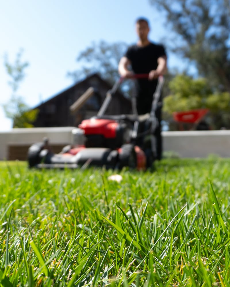 landscape maintenance 30
